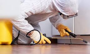 Best Real Estate Pest Inspections  in South Bound Brook, NJ